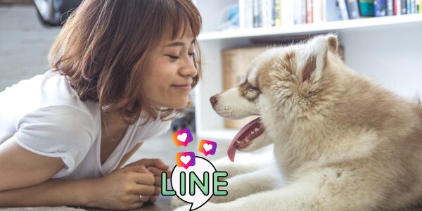 LINEからインスタに飛べないのはブロック？原因と対処法まとめ【最新】