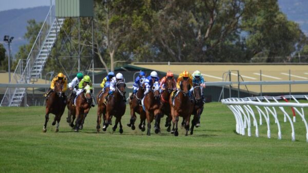 競馬アプリのおすすめ5選まとめ