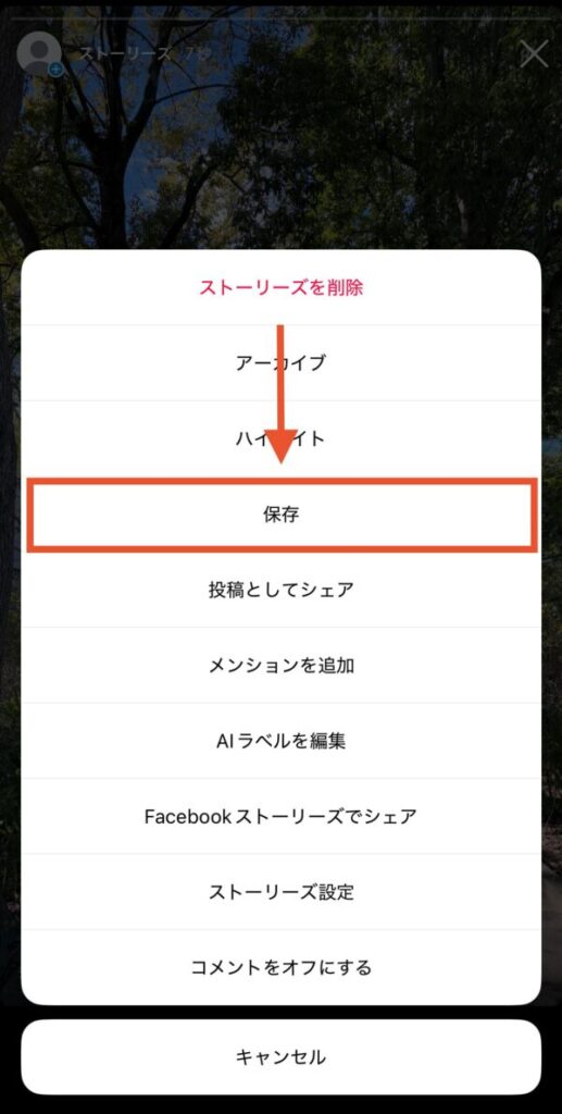 ストーリーをスマホに保存する方法